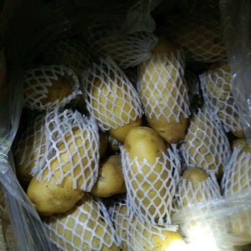 2两通天3两通天常年有货