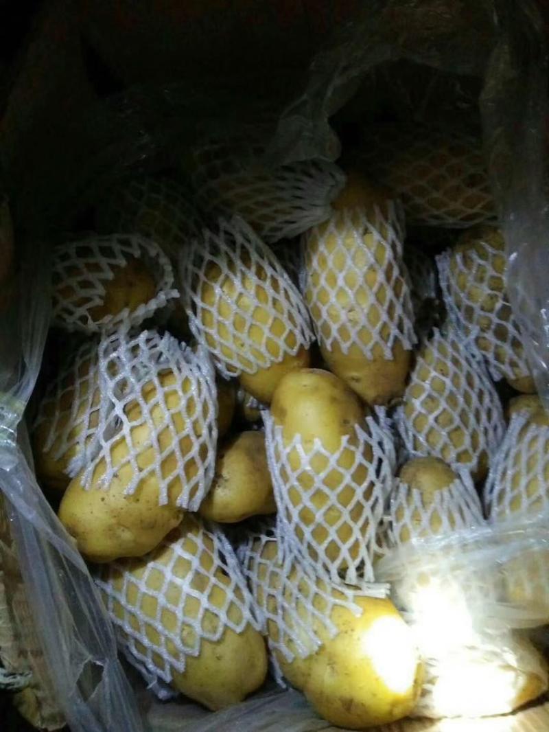 2两通天3两通天常年有货