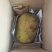 精品常有菠萝蜜鲜果珍珠菠萝蜜对接电商市场商超等各类客户