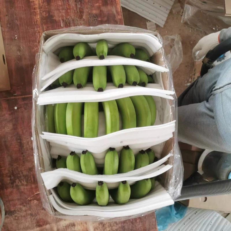 广西百色香蕉大量上市价格美丽量大从优欢迎老板来电