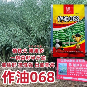 作油068油菜种籽四川油菜籽种子油质好甘蓝型油菜一碗菜籽