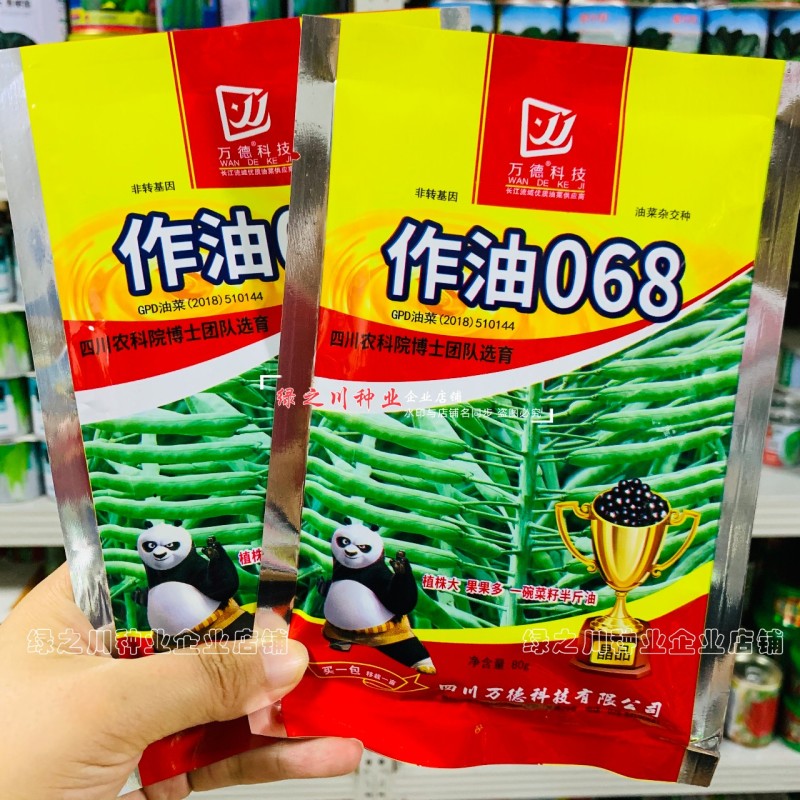 作油068油菜种籽四川油菜籽种子油质好甘蓝型油菜一碗菜籽