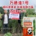 万德油1号油菜籽种子矮杆荚多优质浓香型油菜种子出油高抗寒