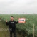 万德油1号油菜籽种子矮杆荚多优质浓香型油菜种子出油高抗寒
