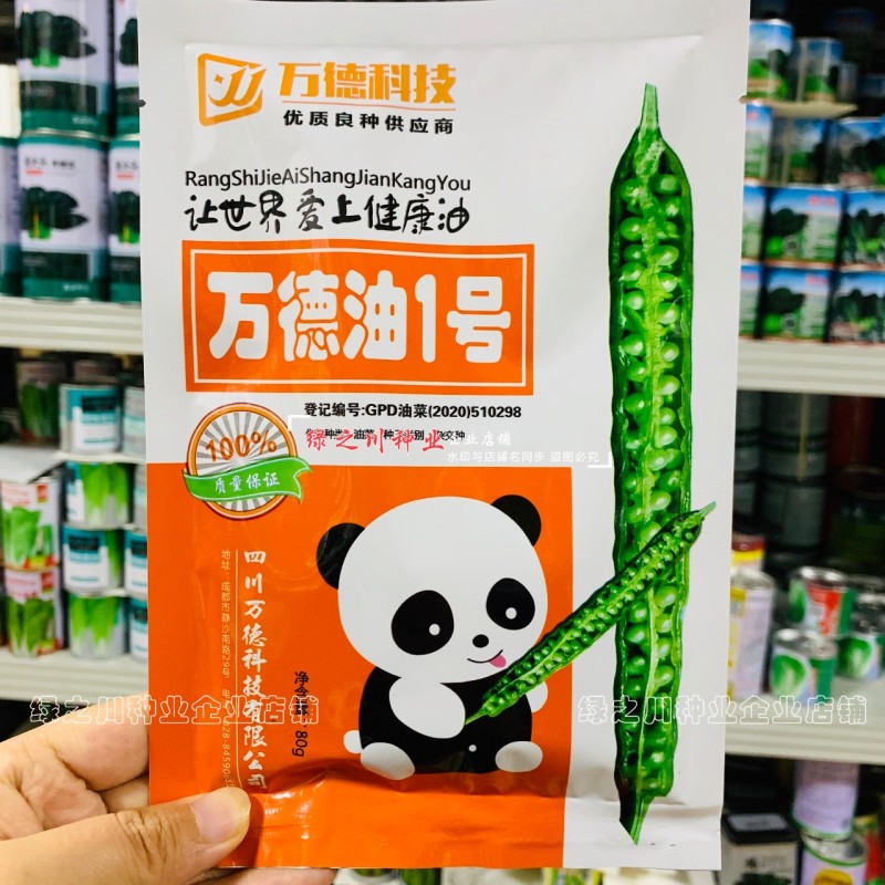 万德油1号油菜籽种子矮杆荚多优质浓香型油菜种子出油高抗寒