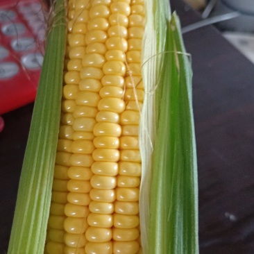 市场水果玉米
