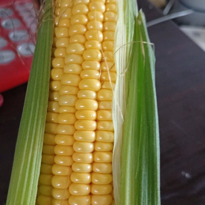 市场水果玉米