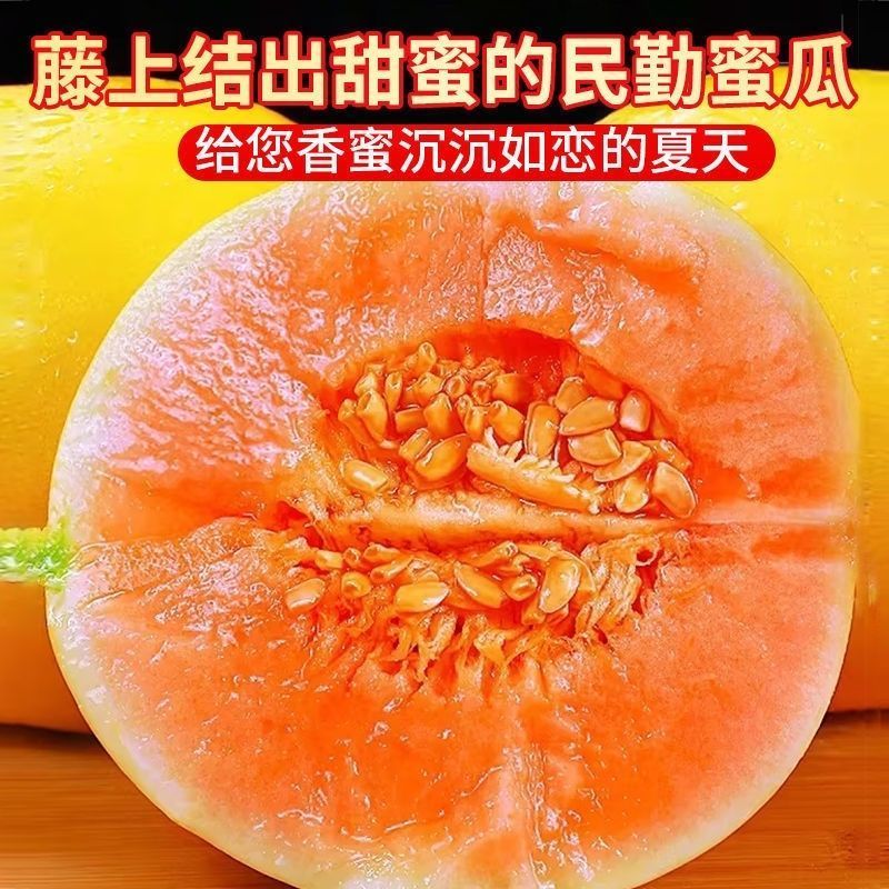 民勤蜜瓜对接各大电商抖音快手视频号一件代发