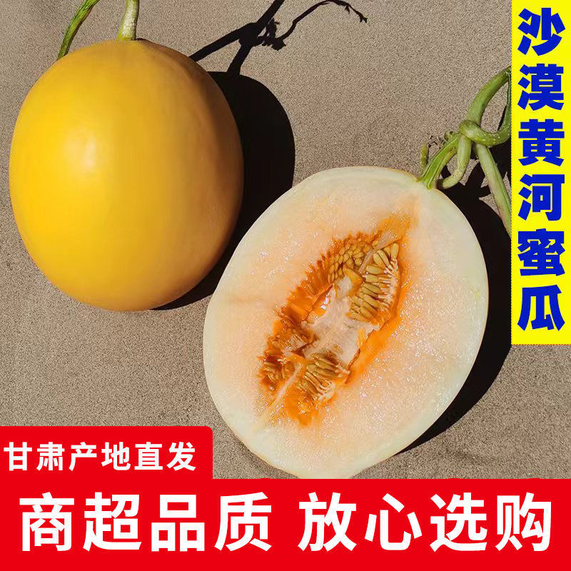 民勤蜜瓜对接各大电商抖音快手视频号一件代发