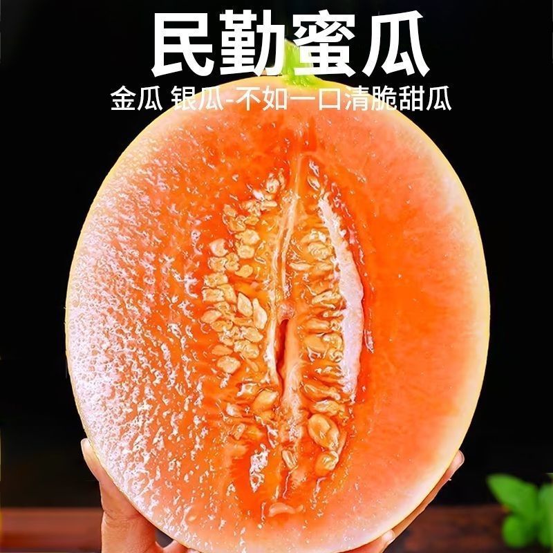 民勤蜜瓜对接各大电商抖音快手视频号一件代发