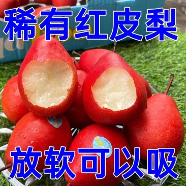 红皮梨对接各大电商抖音快手视频号一件代发日供2万