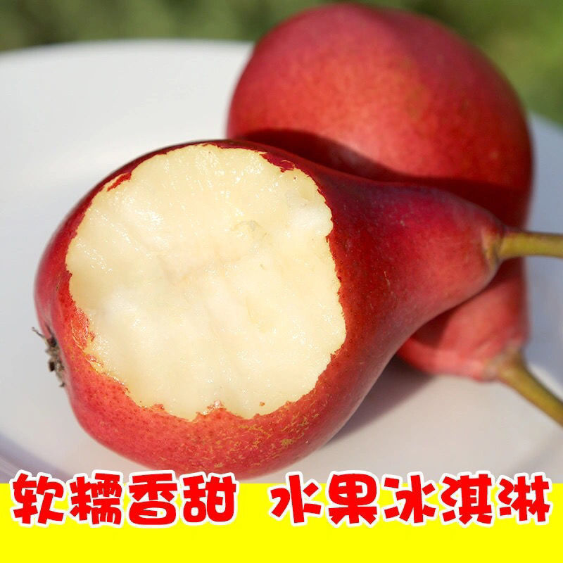红皮梨对接各大电商抖音快手视频号一件代发日供2万