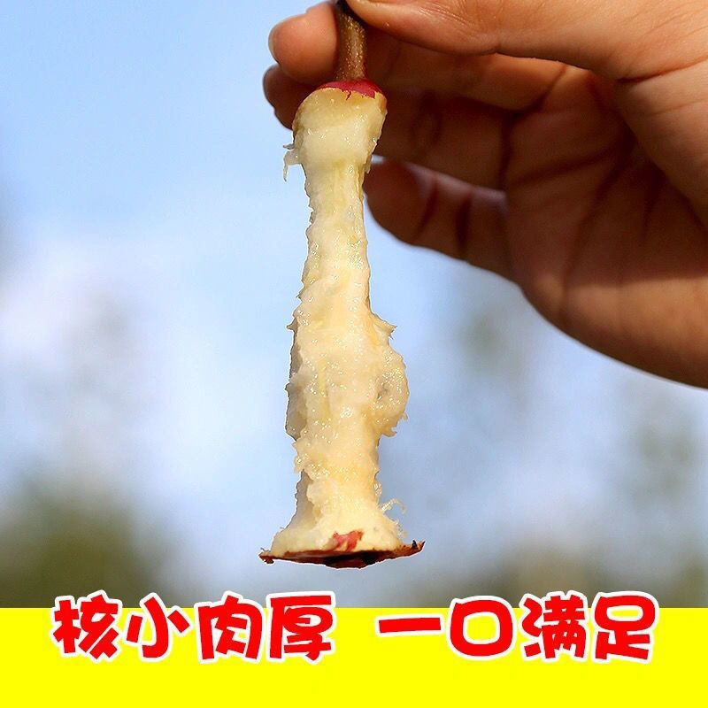 红皮梨对接各大电商抖音快手视频号一件代发日供2万