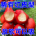 红皮梨对接各大电商抖音快手视频号一件代发日供2万