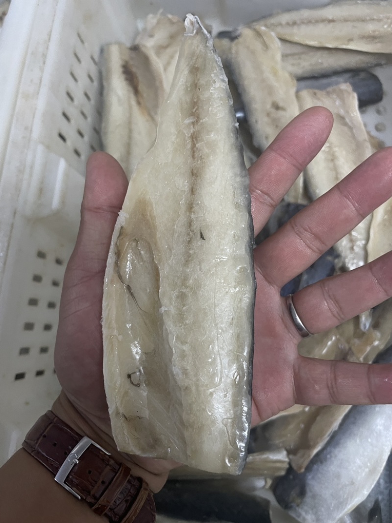 开片鲅鱼
