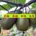 四川红心猕猴桃：精品阳光果！精品套袋果！支持视频看货！