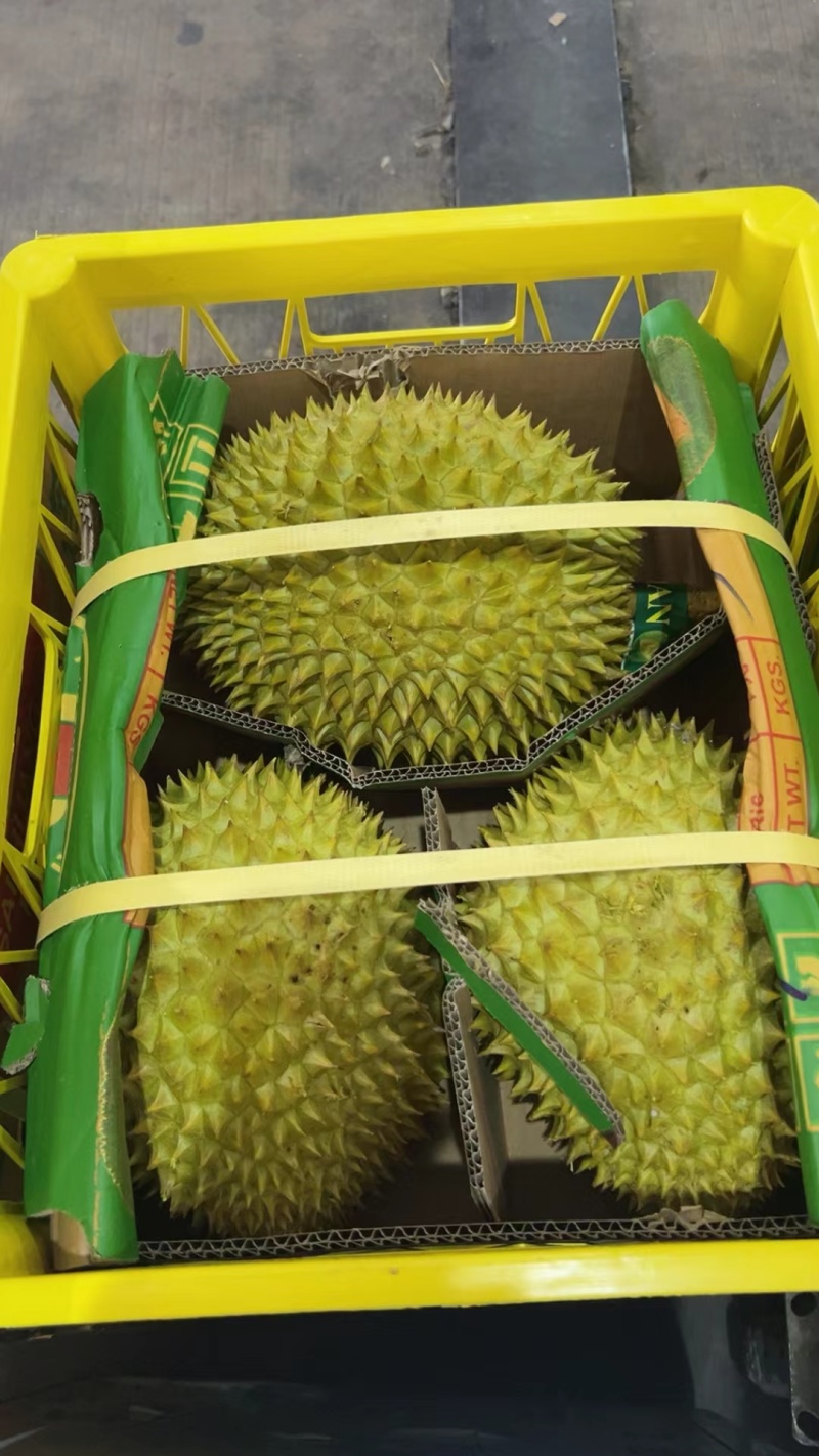 大量的干荛榴莲供应，规格齐全，对接全国档口，平台供应链