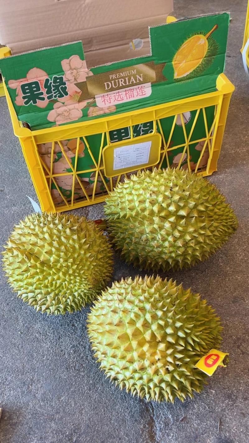 大量的干荛榴莲供应，规格齐全，对接全国档口，平台供应链