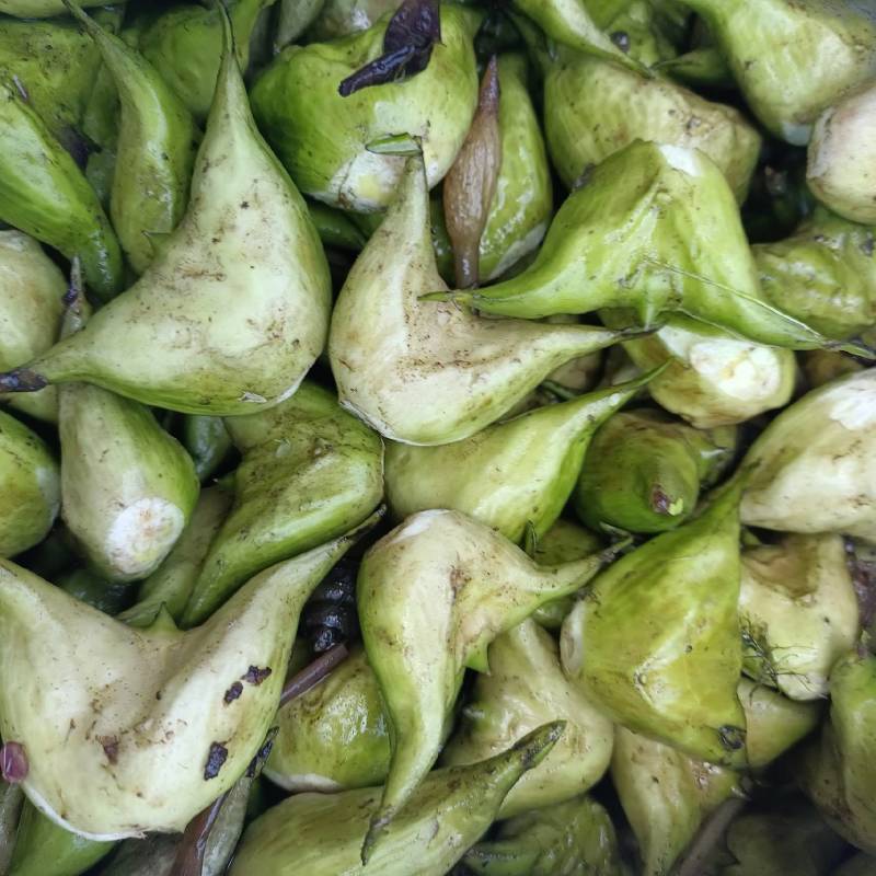 青菱，菱米