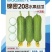 丝瓜种子锦密208高品质水果丝瓜杂交品种硬度好翠绿色