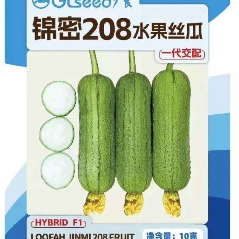 丝瓜种子锦密208高品质水果丝瓜杂交品种硬度好翠绿色