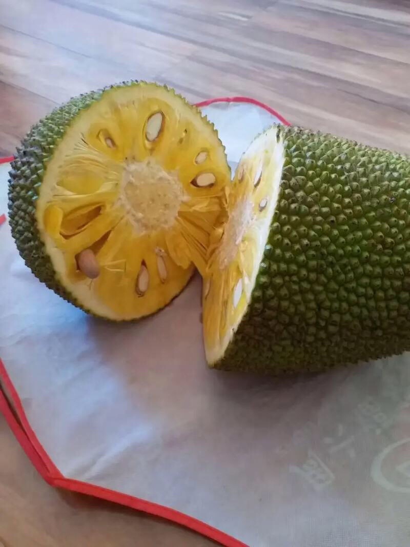海南一号菠萝蜜