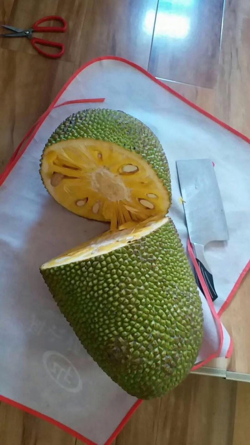 海南一号菠萝蜜