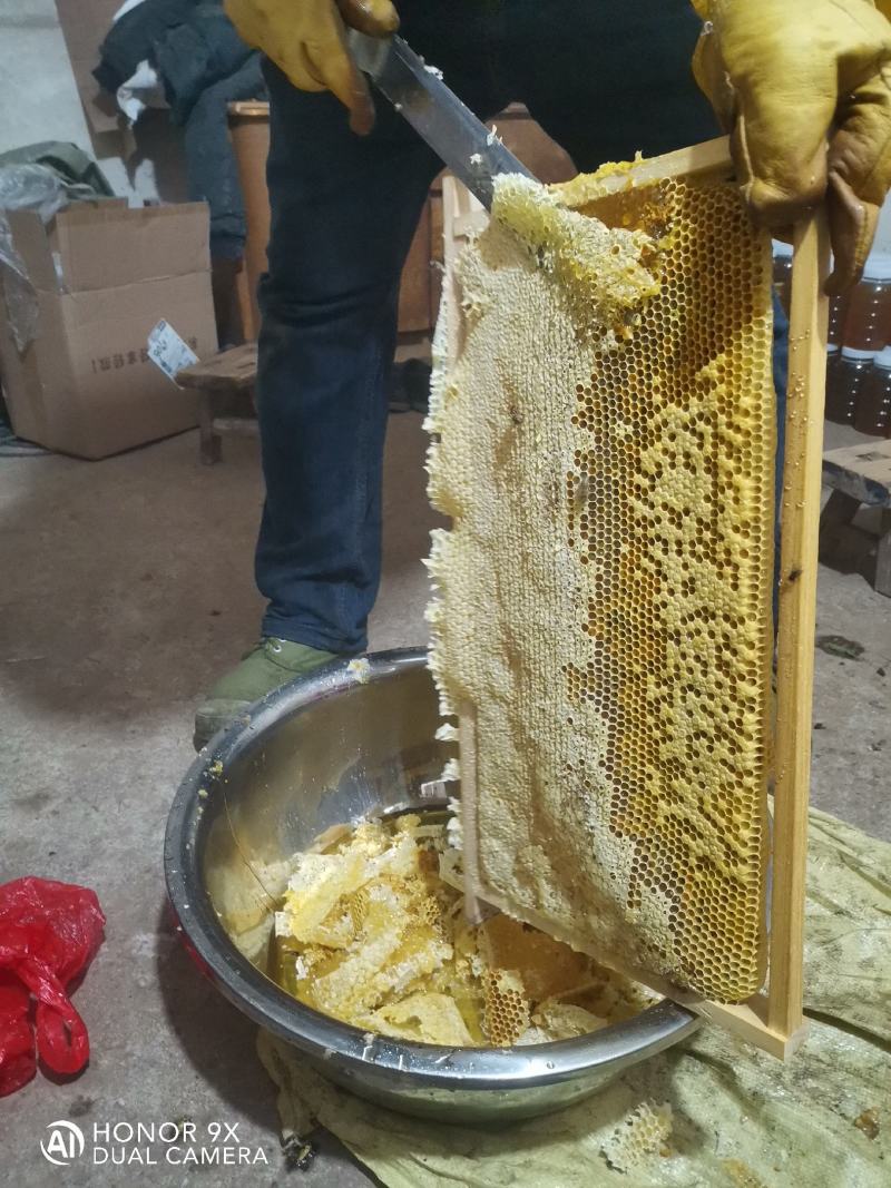 土蜂蜜