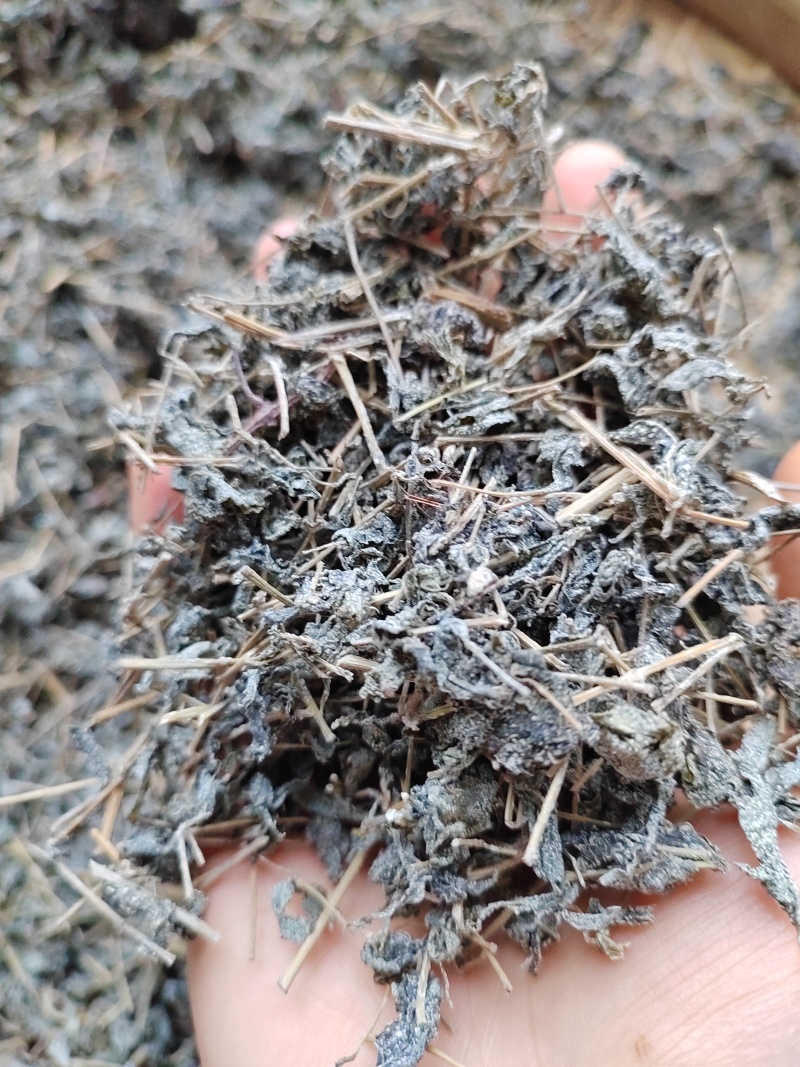 藤茶干货野生龙丝茶