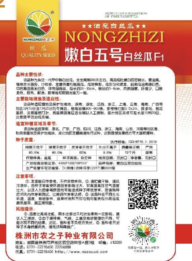 嫩白五号杂交一代油亮白关丝瓜神舟十五号太空育种基地专用