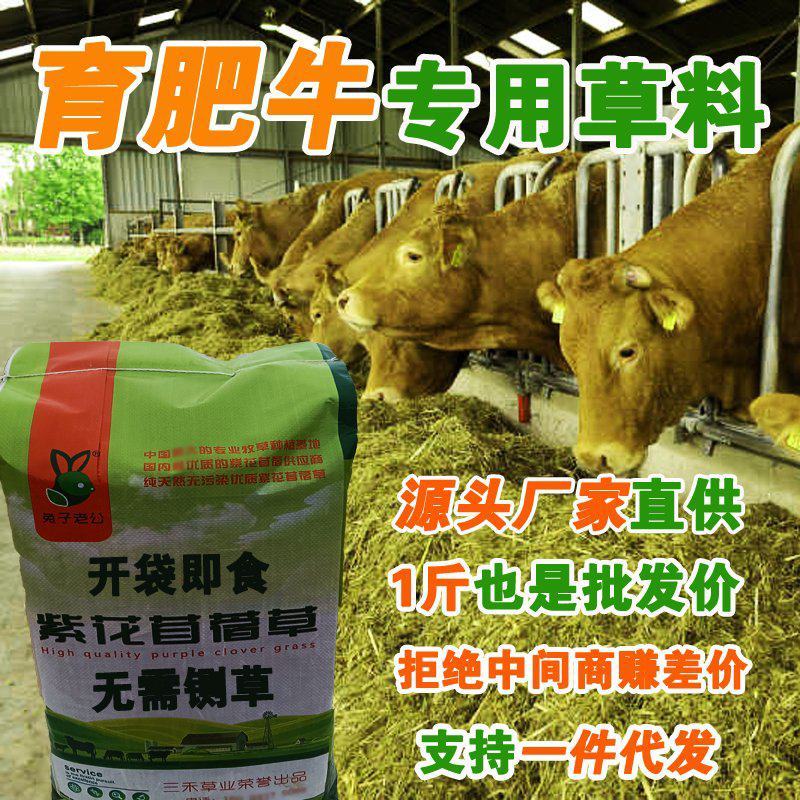 苜蓿草育肥牛专用苜蓿草料牛羊马驴羊驼饲料无需铡草开袋即食