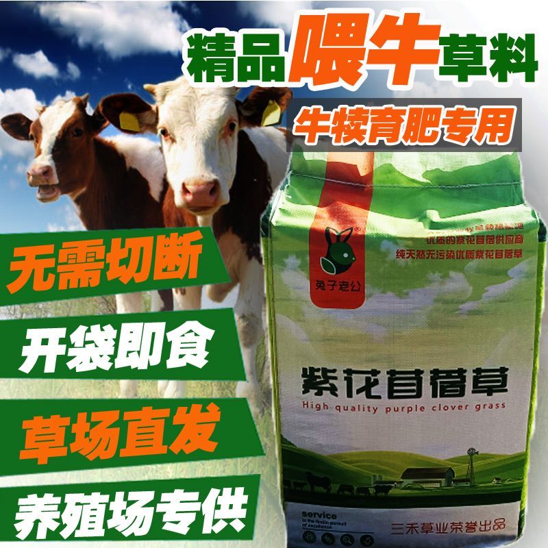 苜蓿草育肥牛专用苜蓿草料牛羊马驴羊驼饲料无需铡草开袋即食