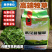 苜蓿草育肥牛专用苜蓿草料牛羊马驴羊驼饲料无需铡草开袋即食