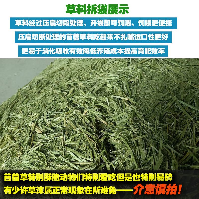 苜蓿草育肥牛专用苜蓿草料牛羊马驴羊驼饲料无需铡草开袋即食