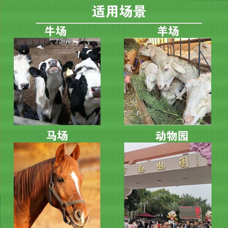 苜蓿草育肥牛专用苜蓿草料牛羊马驴羊驼饲料无需铡草开袋即食