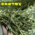 苜蓿草育肥牛专用苜蓿草料牛羊马驴羊驼饲料无需铡草开袋即食