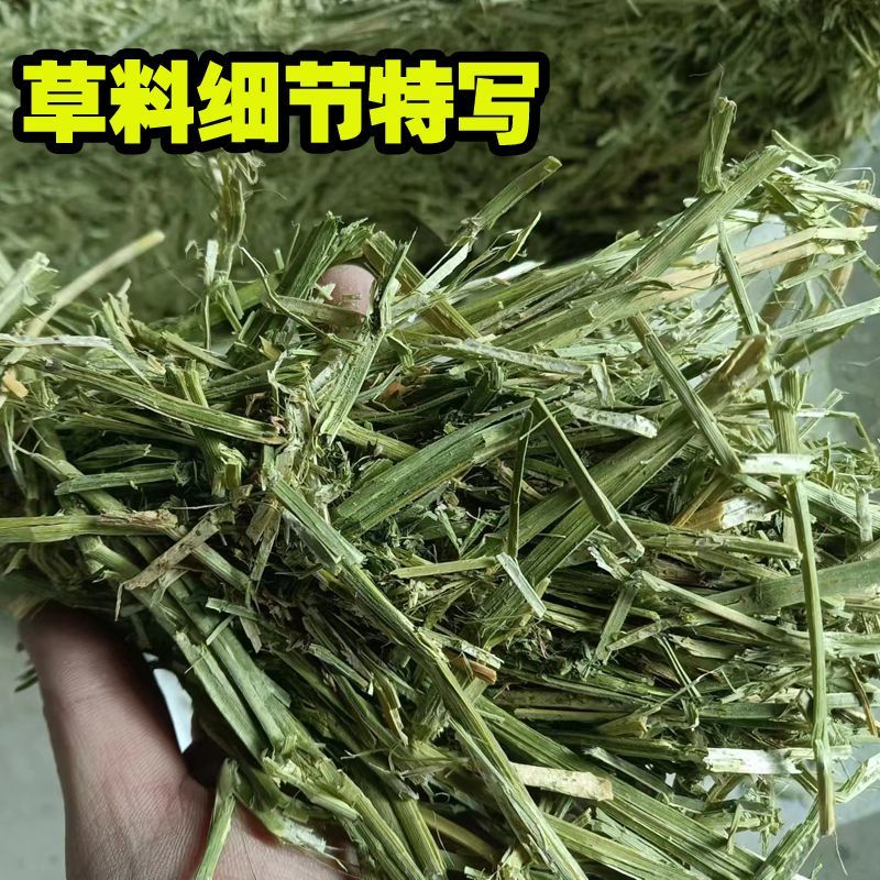 苜蓿草育肥牛专用苜蓿草料牛羊马驴羊驼饲料无需铡草开袋即食