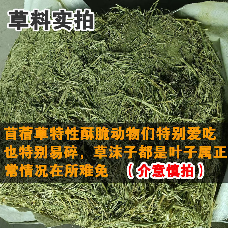 苜蓿草育肥牛专用苜蓿草料牛羊马驴羊驼饲料无需铡草开袋即食