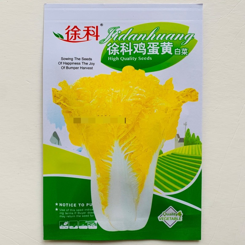 徐科鸡蛋黄白菜种子黄芯大白菜叶球花心狮头白菜种籽秋季耐寒
