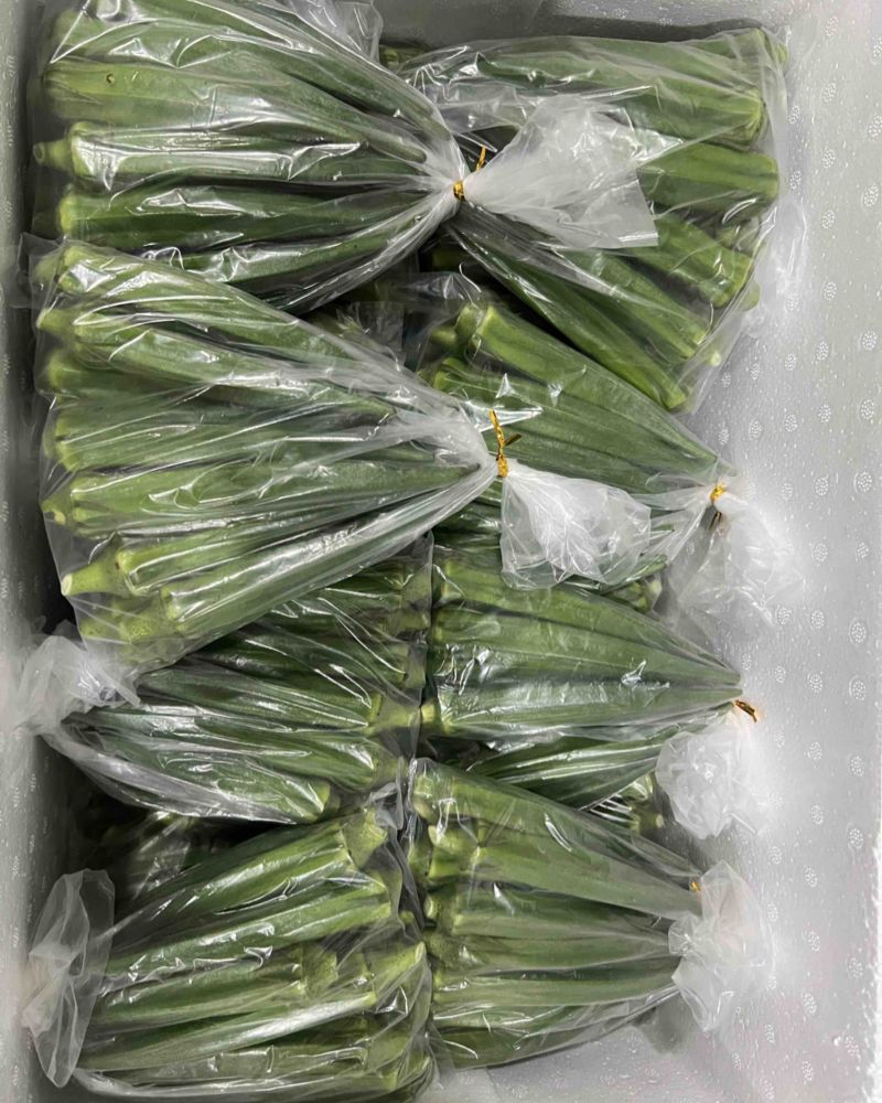 海门精品秋葵小包装泡沫箱冷库预冷发货供商超电商平台