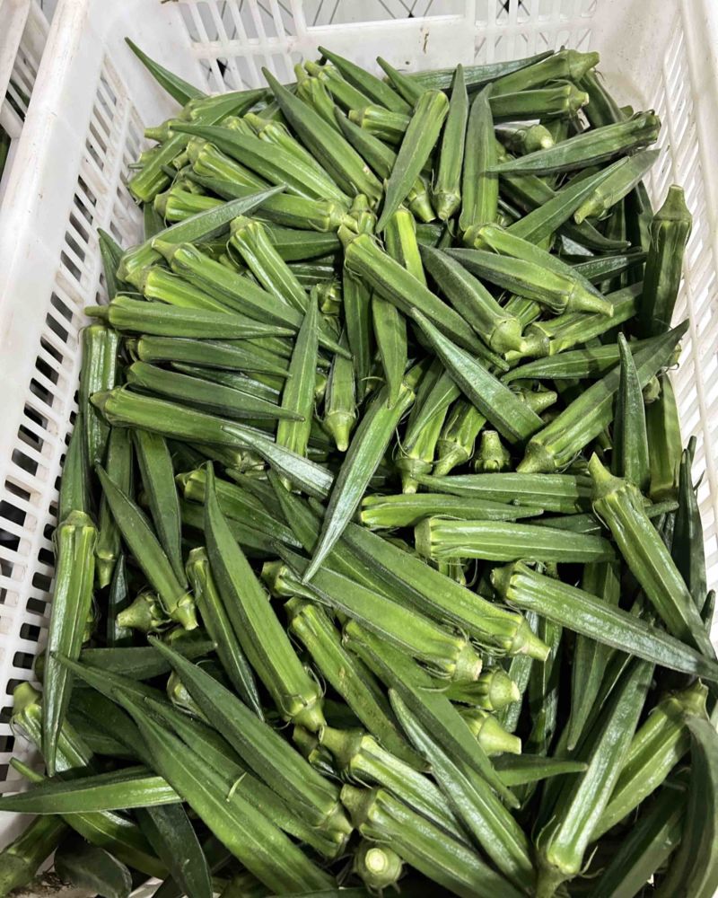 海门精品秋葵小包装泡沫箱冷库预冷发货供商超电商平台