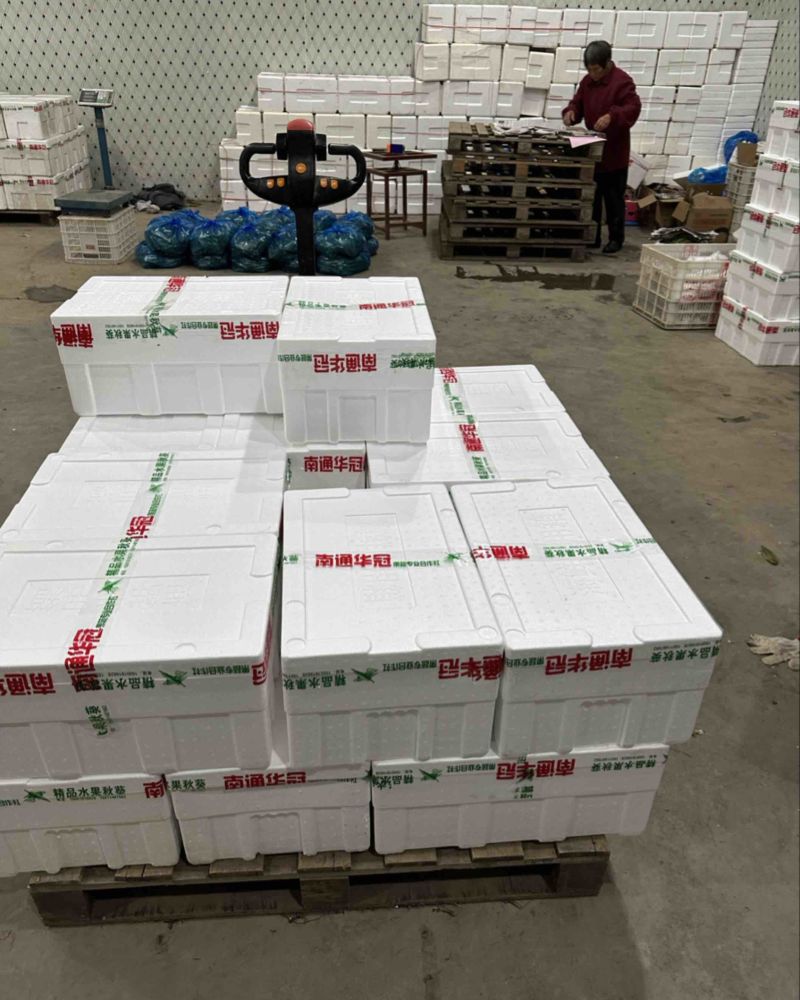 海门精品秋葵小包装泡沫箱冷库预冷发货供商超电商平台