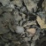 肉苁蓉硬大芸片地道药材万信药业产地直销