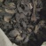 肉苁蓉硬大芸片地道药材万信药业产地直销