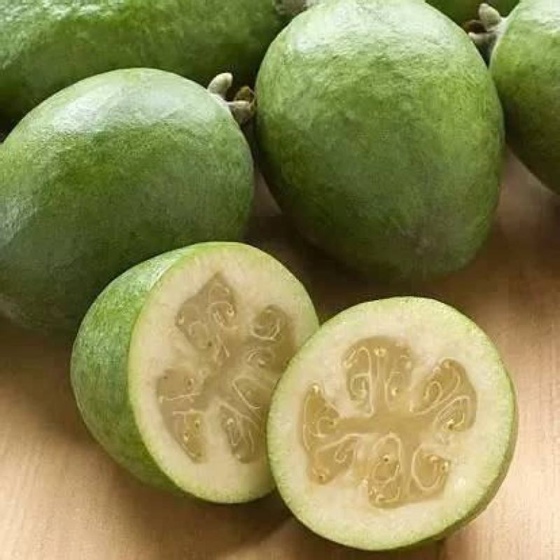 菲油果八年结果树