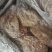 猪尿泡，10公斤箱装4个小板，水泡无淤血