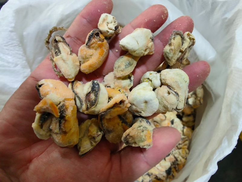 大家贻贝粿粒大量库存，需要的老板们可联系我，支持电商出口