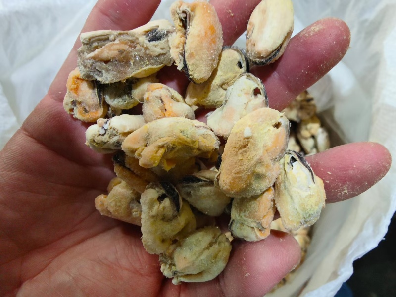 大家贻贝粿粒大量库存，需要的老板们可联系我，支持电商出口