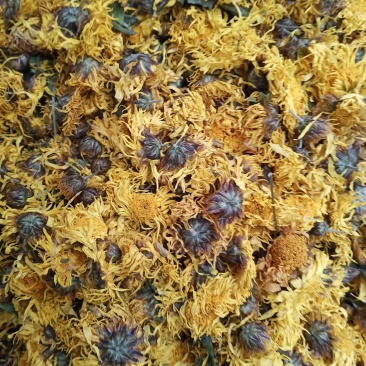 黄菊花中药材批发一手货源量大忧惠全国发货