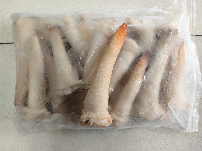 红头蚌，口感和鲜货没有区别！直接刺身！纯蚌头，两斤装！